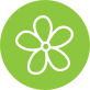 Flower Icon